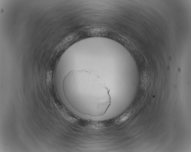 X0000083610278200703051551