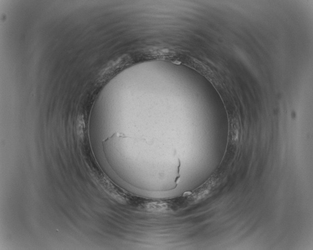 X0000083610279200703051551