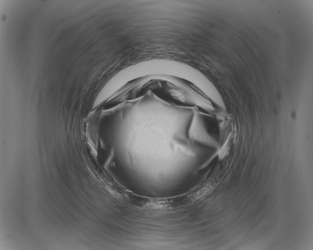 X0000083610280200703051551