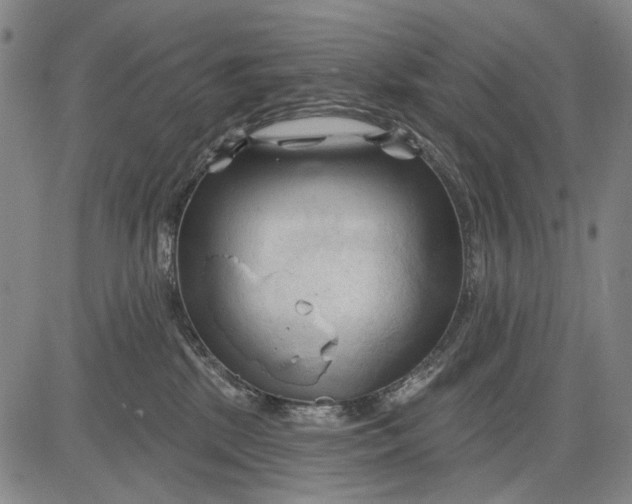 X0000083610281200703051551