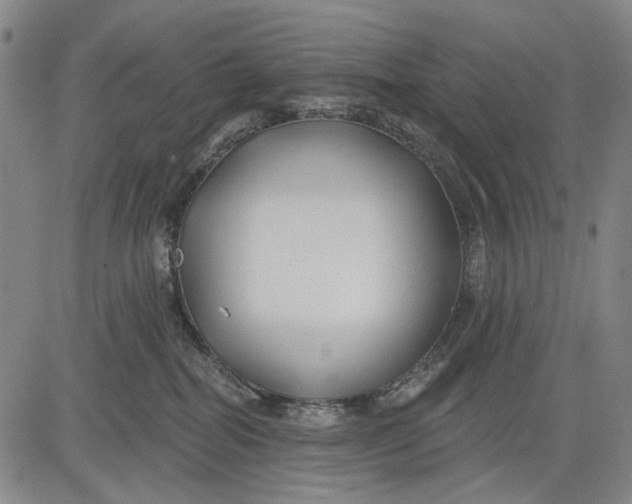 X0000083610282200703051551