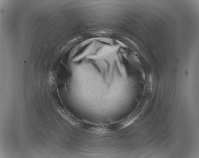 X0000083610284200703051551