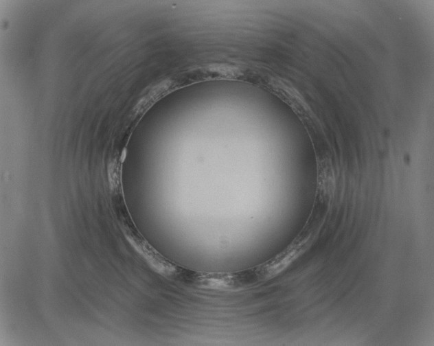 X0000083610285200703051551