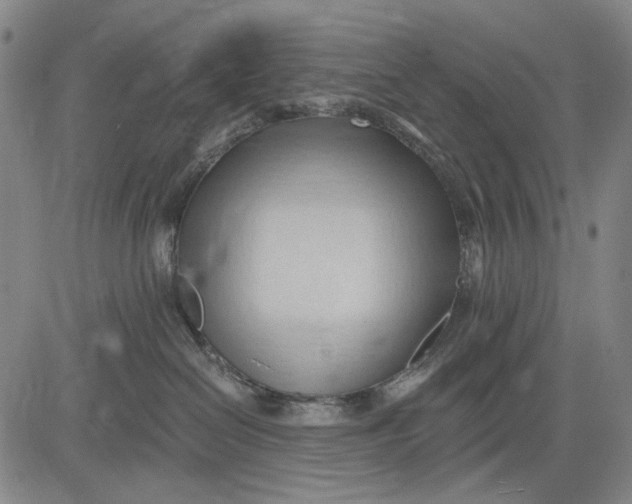 X0000083610286200703051551