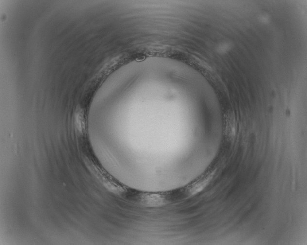 X0000083610287200703051551