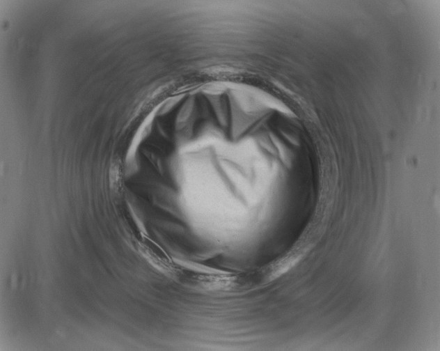 X0000083610288200703051551