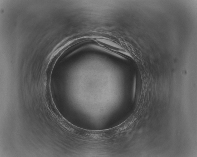 X0000083610295200703051550