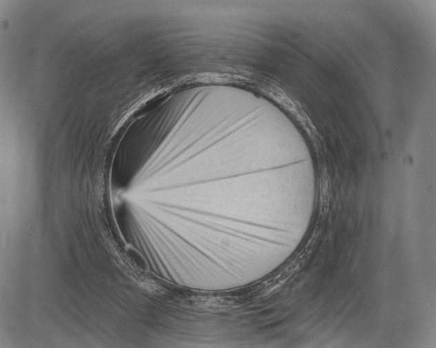 X0000083610297200703051550