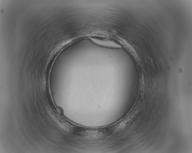 X0000083610298200703051550