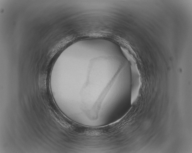 X0000083610299200703051550