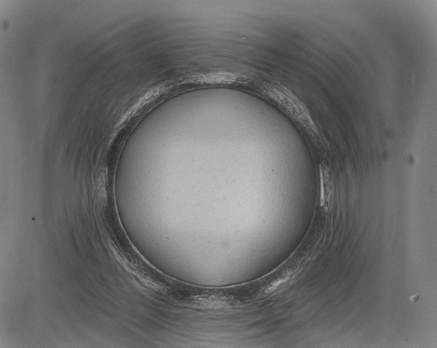 X0000083610300200703051550