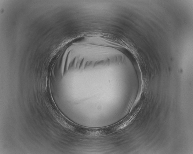 X0000083610301200703051550