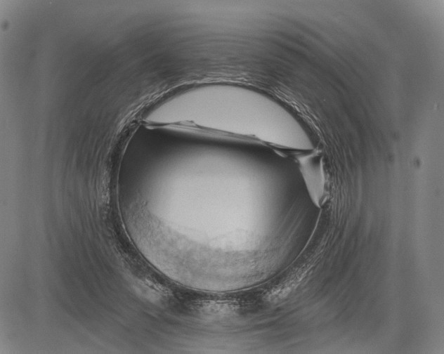 X0000083610303200703051550