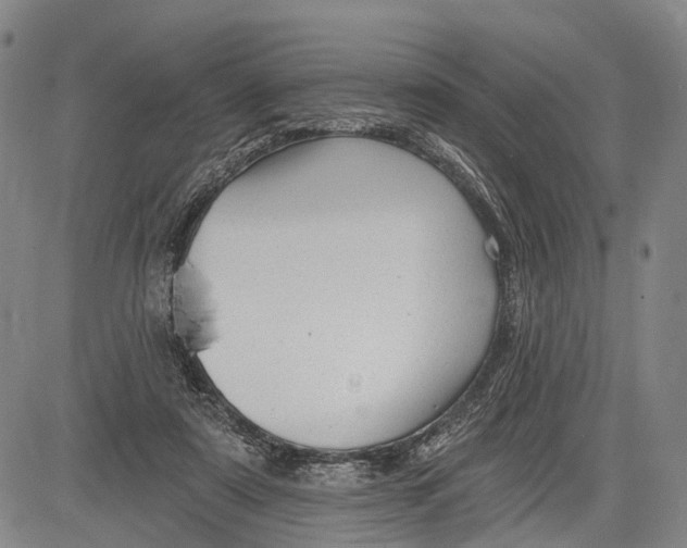 X0000083610307200703051550