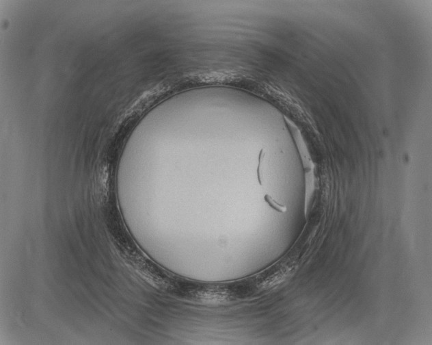 X0000083610308200703051550