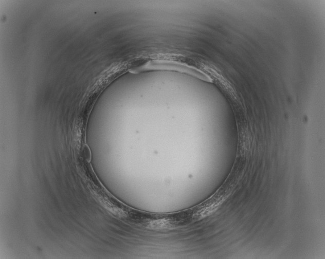 X0000083610309200703051550