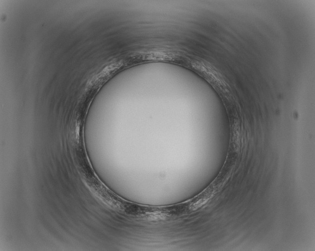 X0000083610310200703051550