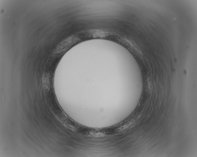 X0000083610311200703051550