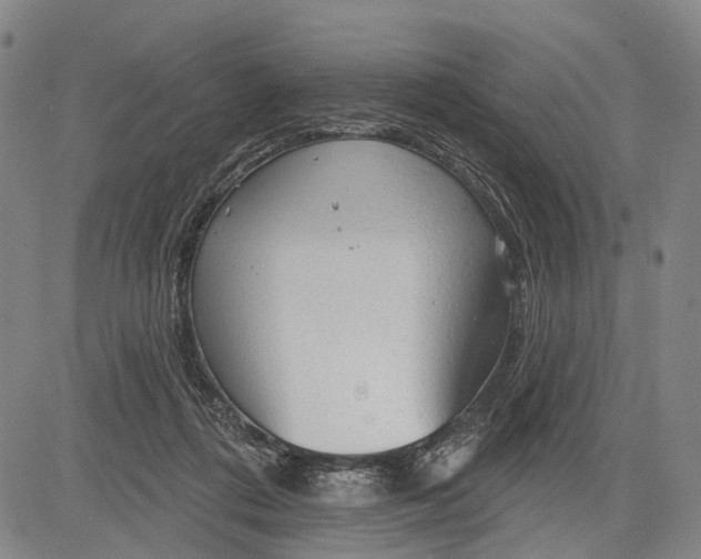 X0000083610312200703051550