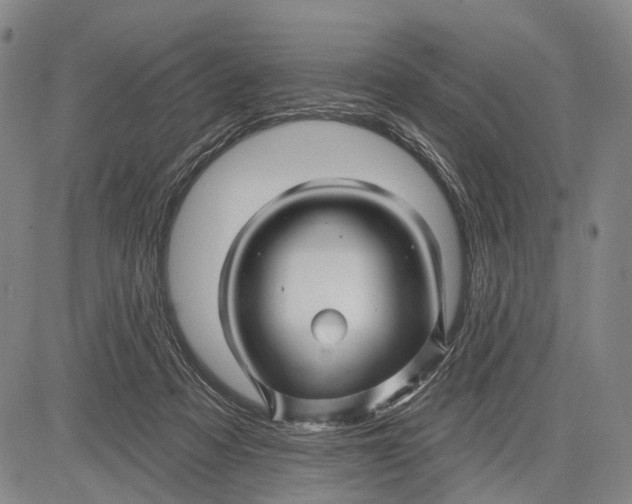 X0000083610313200703051550