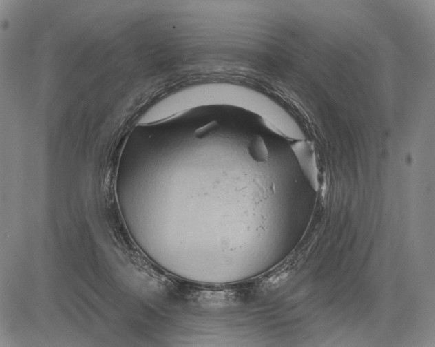 X0000083610314200703051550