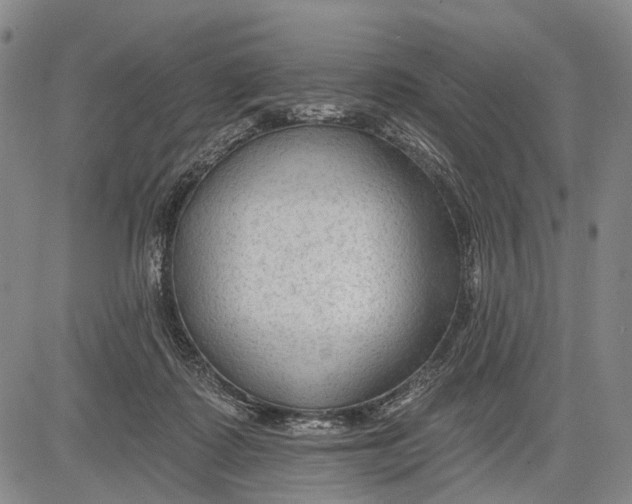 X0000083610315200703051550