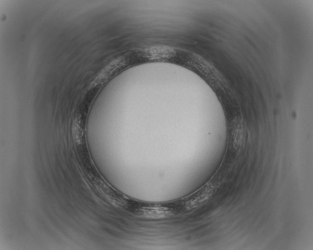 X0000083610316200703051550