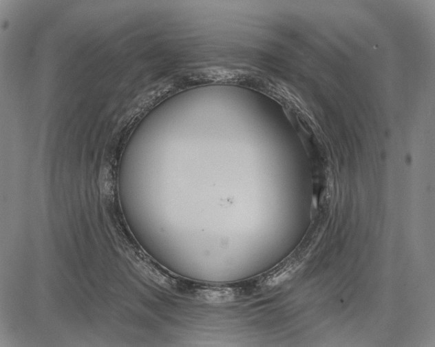 X0000083610317200703051550