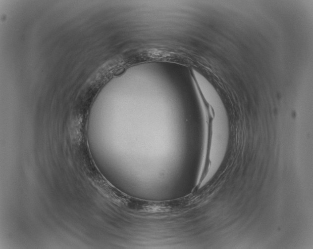 X0000083610319200703051550