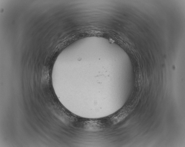 X0000083610320200703051550