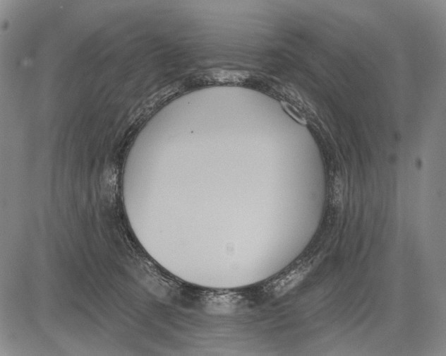 X0000083610321200703051550