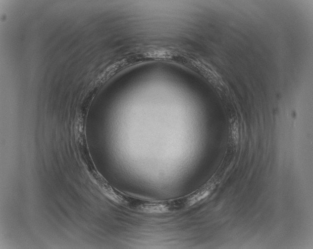 X0000083610322200703051550