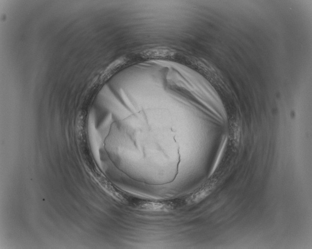 X0000083610326200703051550