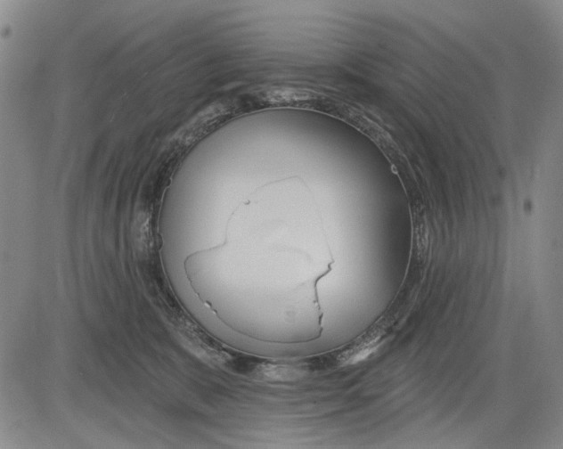 X0000083610327200703051550