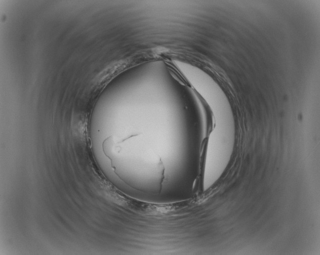 X0000083610329200703051550