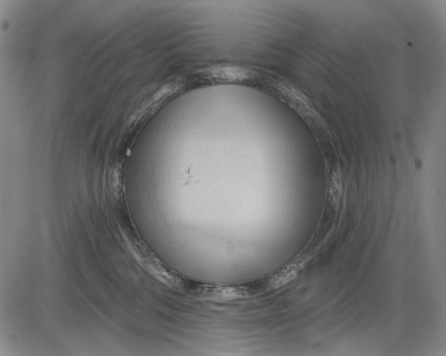 X0000083610330200703051550