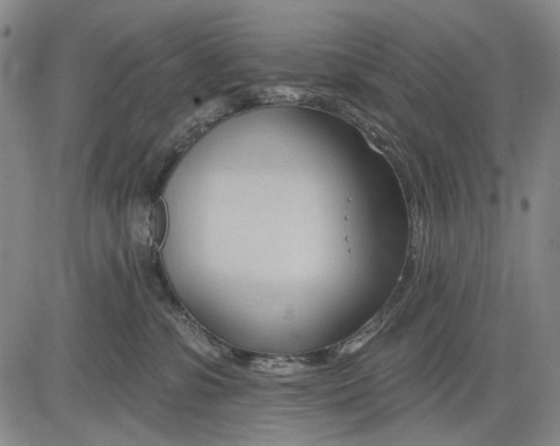 X0000083610331200703051550