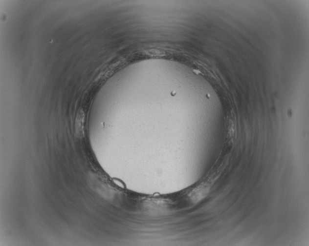 X0000083610332200703051550