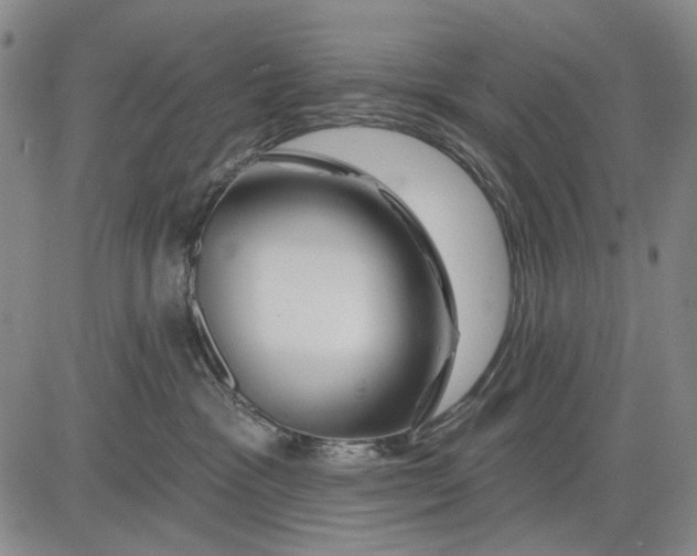 X0000083610333200703051550