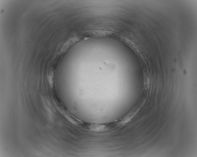 X0000083610334200703051550