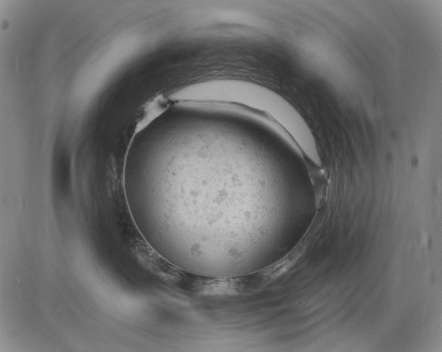 X0000083610335200703051550