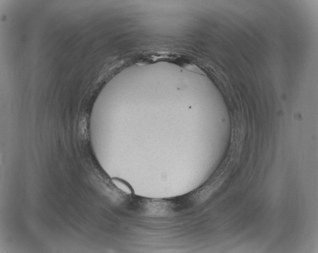 X0000083610336200703051550