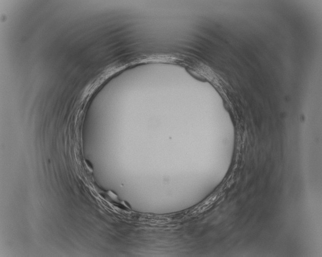 X0000083610337200703051549