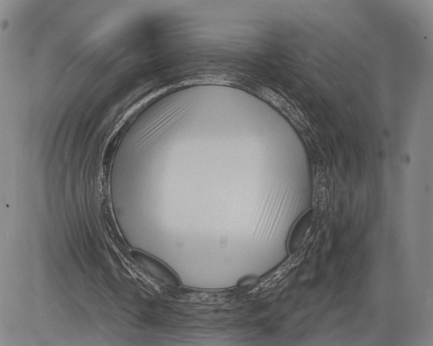 X0000083610338200703051549