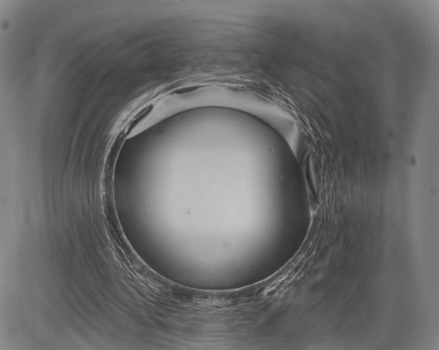 X0000083610340200703051549