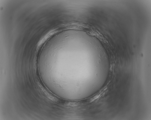 X0000083610341200703051549