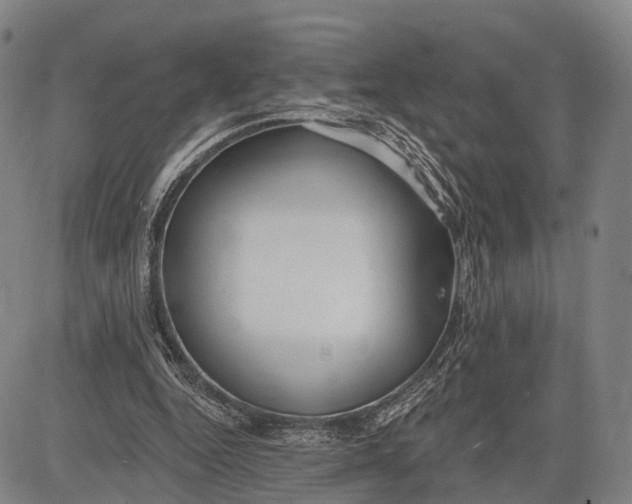 X0000083610344200703051549