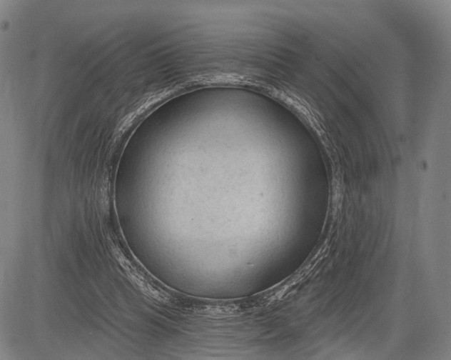 X0000083610345200703051549