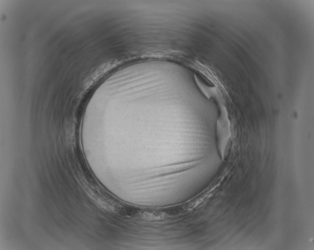 X0000083610346200703051549