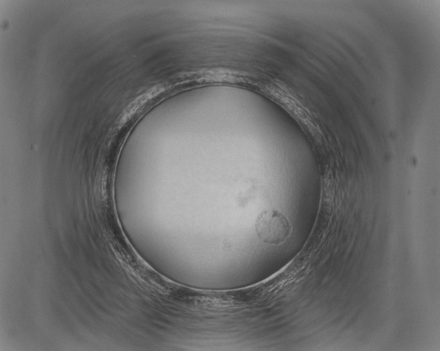 X0000083610347200703051549